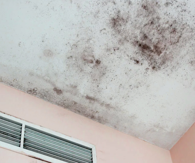 Unveiling What Causes Mold in the Bathroom – A Deep Dive