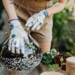 garden soil vs potting mix differences