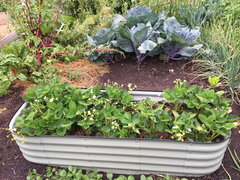 standard raised bed dimensions guide